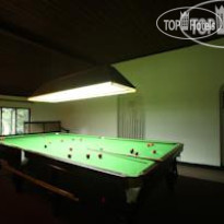 Tree of Life Бильярд