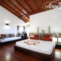 Tree of Life Номер