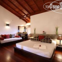 Tree of Life Номер