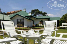 Avian Breeze 3*