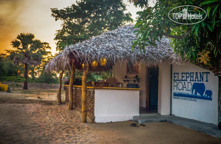 New photos from tourists Elephant Road Resort