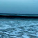 Surf Paradise 