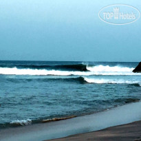 Surf Paradise 