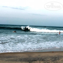 Surf Paradise 