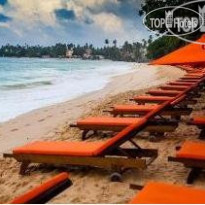 Calamander Unawatuna Beach 