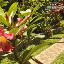 Green Villa Unawatuna 