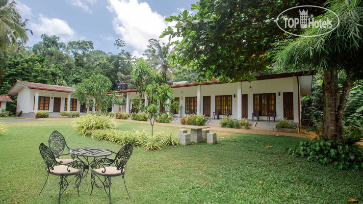 New photos from tourists Escape Essence Unawatuna