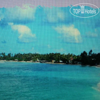 Lavendish Beach 