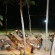 CoCo Bay Unawatuna 