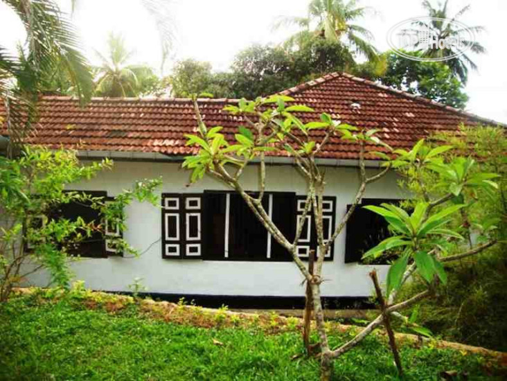 Hotel photo Palm Villa 