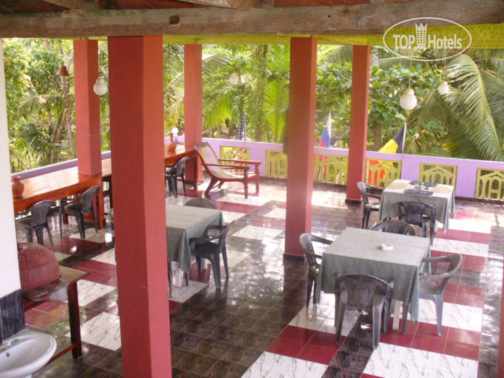 New photos from tourists Greenpeace Inn