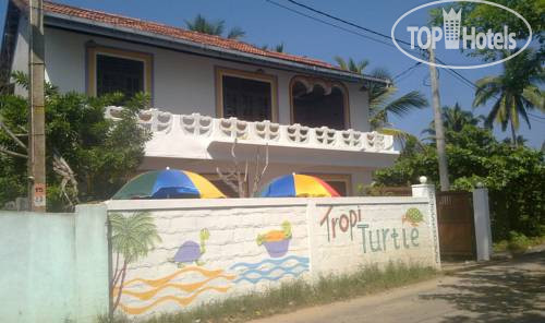 New photos from tourists Tropi Turtle Guesthouse