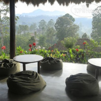 98 Acres Resort