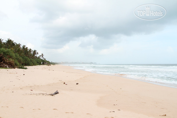 New photos from tourists Dasa Beach View