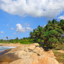 Turtle Bay Boutique Hotel 