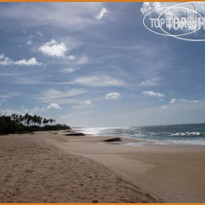 Mangrove Beach Cabanas & Chalets