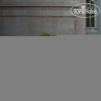 Esplendor Savoy Rosario