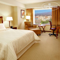 Sheraton Mendoza Hotel 