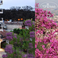 Amerian Salta Hotel