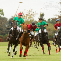 Polo Hotel Resort & Spa 