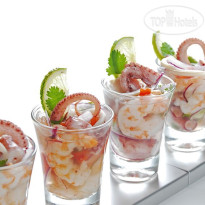 Polo Hotel Resort & Spa 