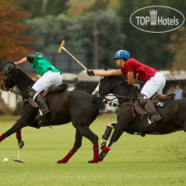 Polo Hotel Resort & Spa 