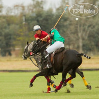 Polo Hotel Resort & Spa 