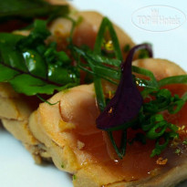 Polo Hotel Resort & Spa 