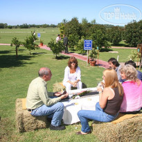 Polo Hotel Resort & Spa 