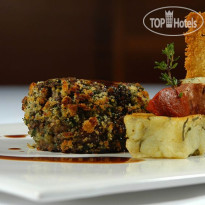 Polo Hotel Resort & Spa