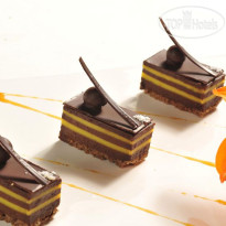 Polo Hotel Resort & Spa