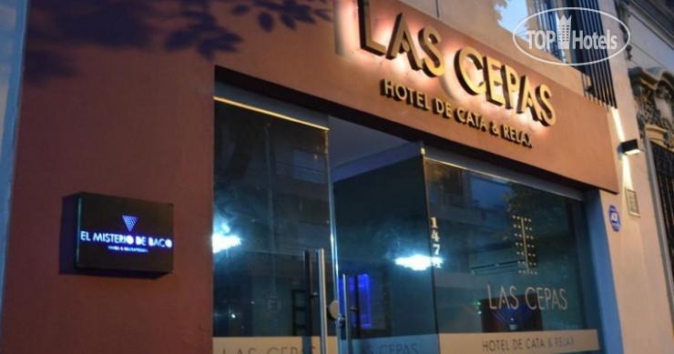 Hotel photo Las Cepas Hotel de Cata y Relax 3*