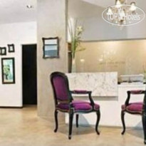 Unique Palacio Chic