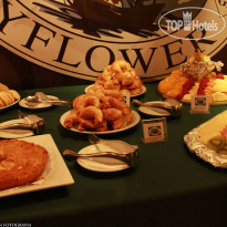 Mayflower Suites
