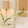 Vain Boutique Hotel 