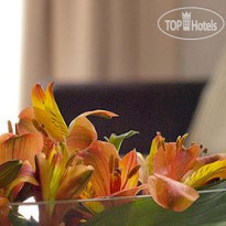 Urban Suites Recoleta
