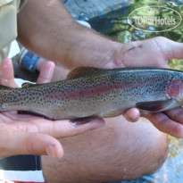 Estancia La Constancia