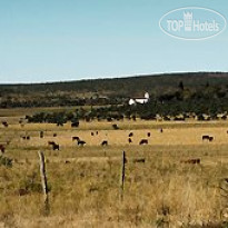 Estancia San Pedro Viejo 