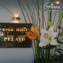 Pelayo Рецепция