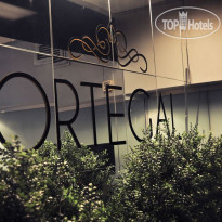 Ortegal