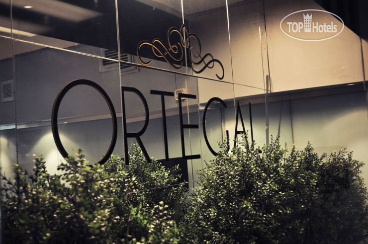 Ortegal