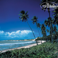 Pestana Natal 