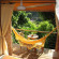 Gavea Tropical Boutique 