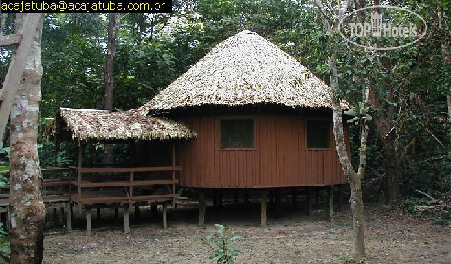 New photos from tourists Acajatuba Jungle Lodge 3*