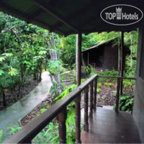 Amazon Ecopark Jungle Lodge