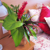 Angra Fashion Hotel Resort 