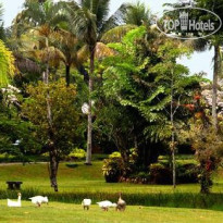 Hotel do Bosque