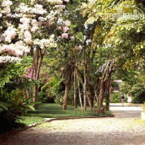 Hotel do Bosque