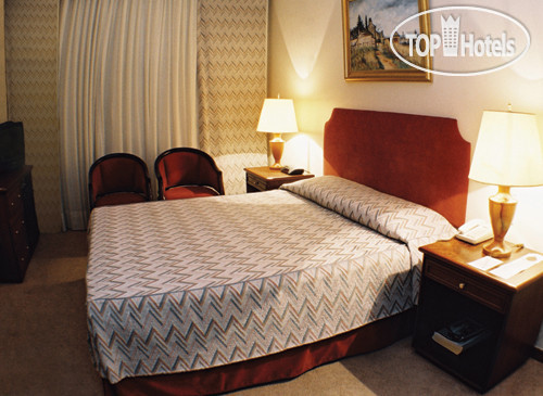 Hotelier's photos Liberty Palace 4*