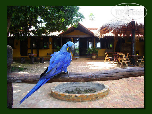 Hotel photo Araras Eco Lodge 